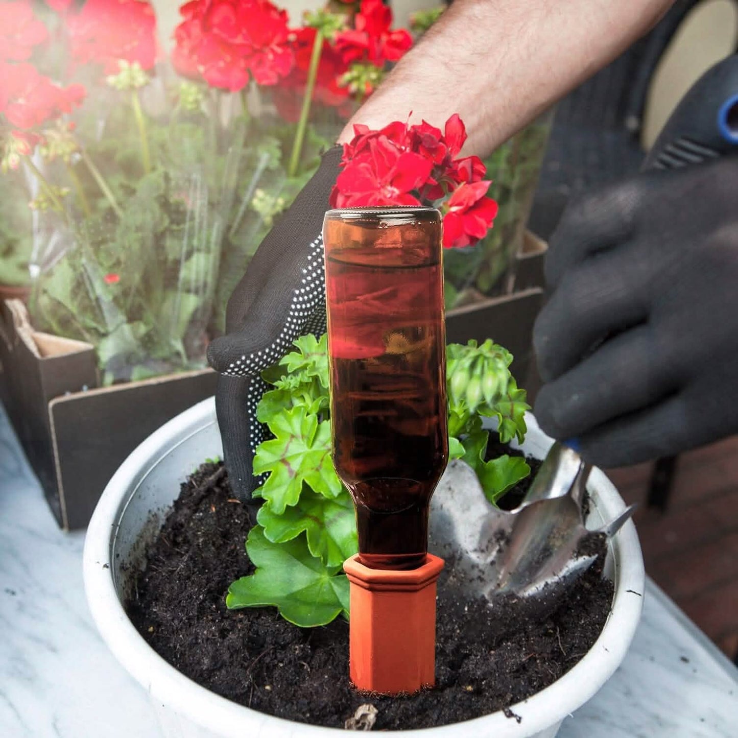 10-Pack: Spikes Teracotta Plant Watering Device