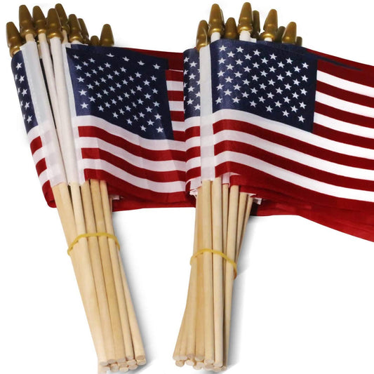 100-Pack: USA 4x6 in Wooden Stick Flag