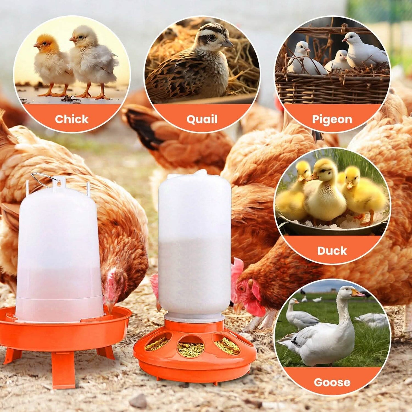 1.5L Chicken Feeder Adjustable Height Waterer Set