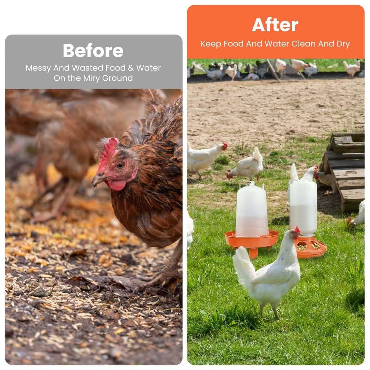 1.5L Chicken Feeder Adjustable Height Waterer Set