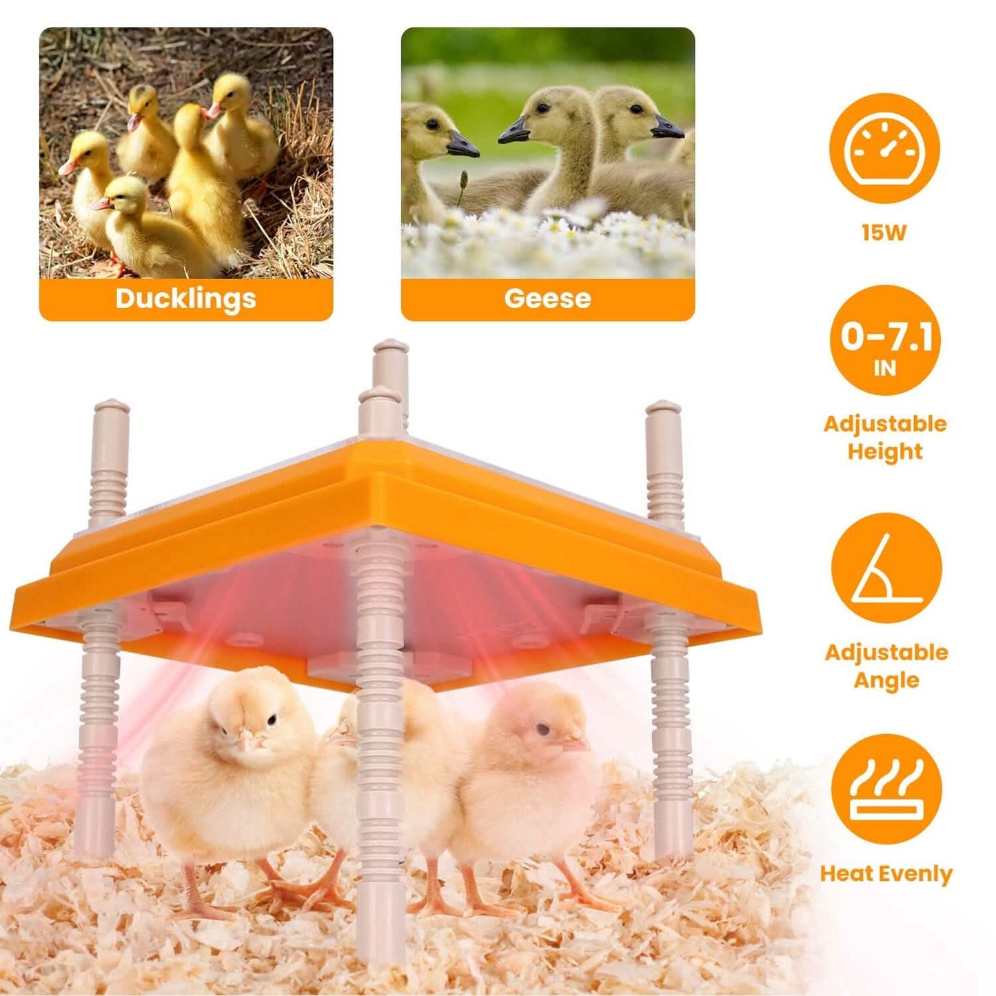 15W Chicken Brooder Heater with Adjustable  Height Angle Max 131℉
