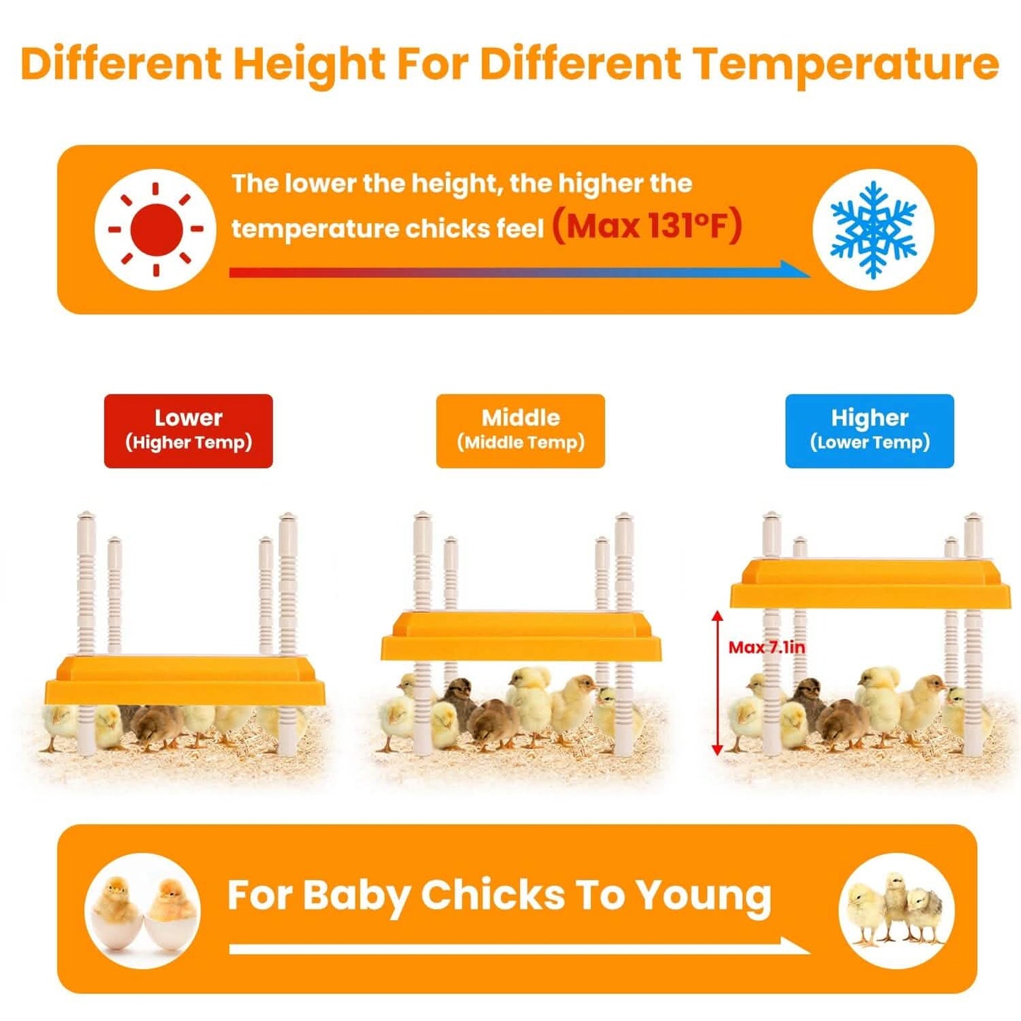 15W Chicken Brooder Heater with Adjustable  Height Angle Max 131℉