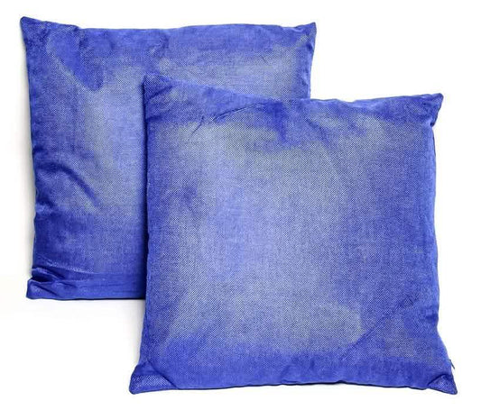 2-Pack: Blue Throw Pillows