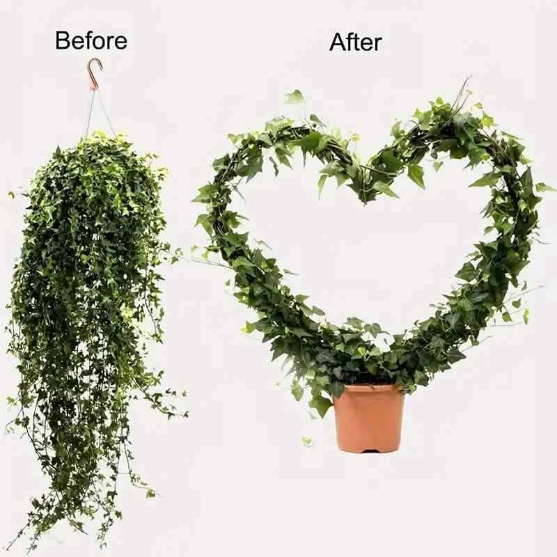 2-Pack: Heart-Shaped Plant Support Stake
