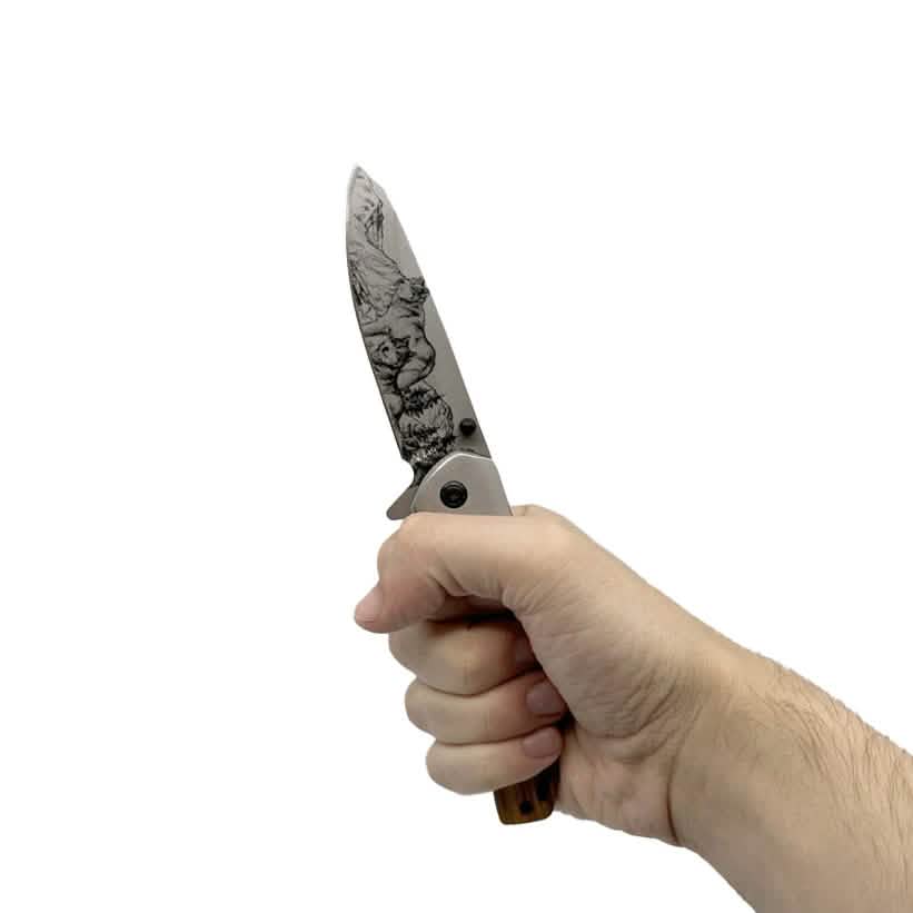 2-Pack: 3.5" Spring Assisted Knife Drop Point Blade