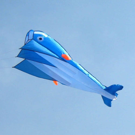 3D Kite Frameless Soft Giant and Parafoil