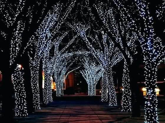 Solar-Powered 100 LED Fairy Light String - Assorted Colors
