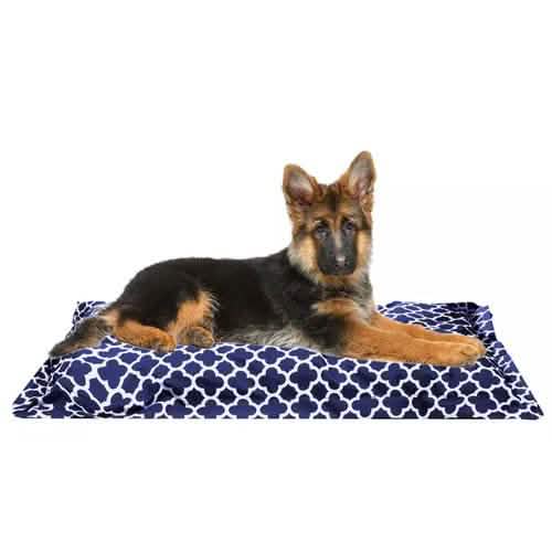Wags 'N Whiskers Orthopedic Pet Bed Pillow - Assorted Styles
